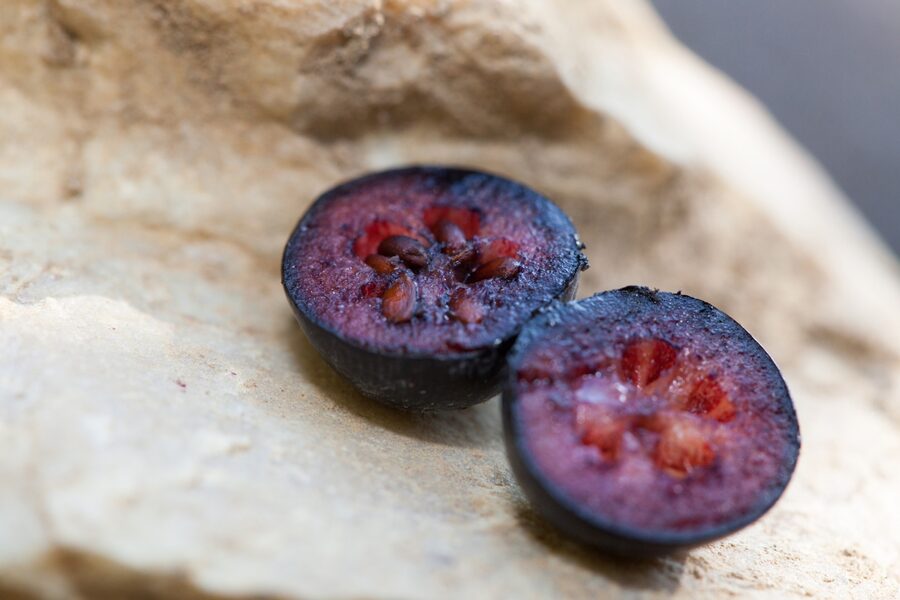 Aufgeschnittene Aroniabeeren mit dunkelrotem Fruchtfleisch